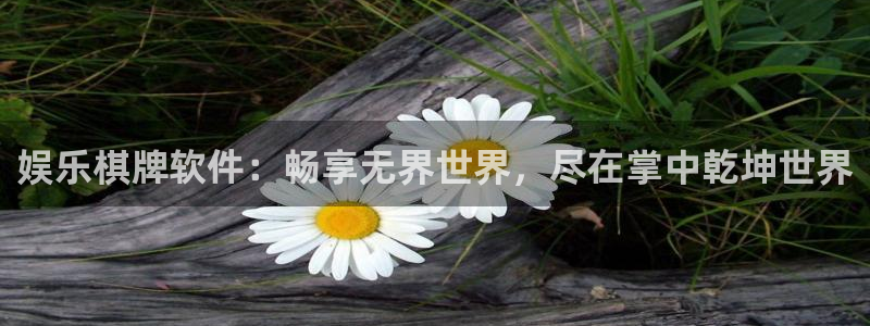 星欧娱乐体育和杏耀是哪个公司的：娱乐棋牌软件：畅享无界世界，尽在掌中乾坤世界