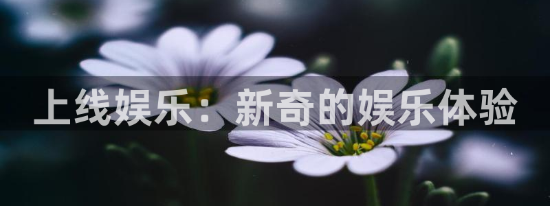 星欧娱乐3代理：上线娱乐：新奇的娱乐体验