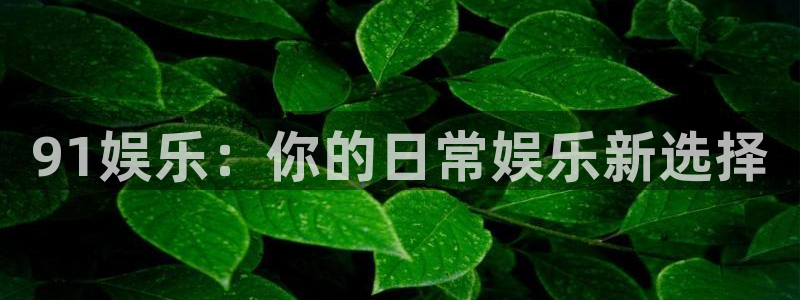 星欧娱乐电玩网官网入口：91娱乐：你的日常娱乐新选择
