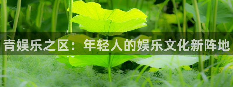 星欧娱乐3平台注册：青娱乐之区：年轻人的娱乐文化新阵地