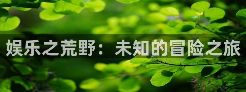星欧娱乐体育官网注册：娱乐之荒野：未知的冒险之旅