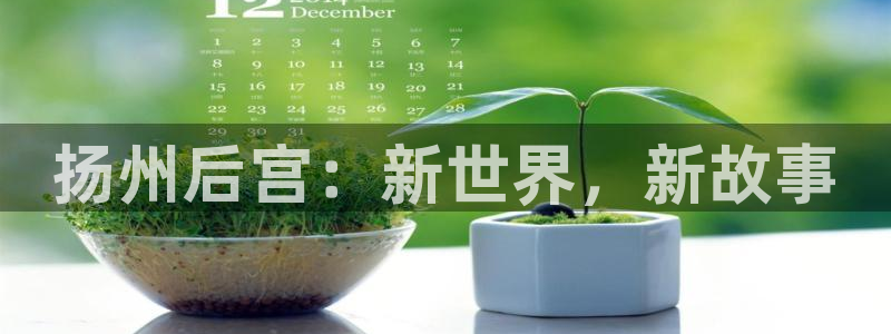 星欧娱乐体育1招商：扬州后宫：新世界，新故事
