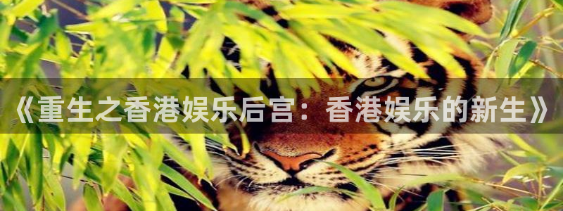 星欧娱乐f凯捷平台在线注册：《重生之香港娱乐后宫：香港娱乐的新生》
