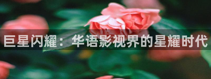 星欧娱乐网站：巨星闪耀：华语影视界的星耀时代