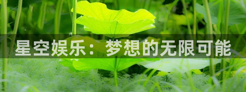 星欧娱乐f凯捷注册：星空娱乐：梦想的无限可能