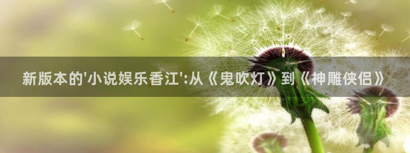 星欧娱乐2平台登录：新版本的\'小说娱乐香江\':从《鬼吹灯》到《神雕侠侣》