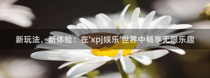 星欧娱乐4平台注册：新玩法，新体验：在\'xpj娱乐\'世界中畅享无限乐趣