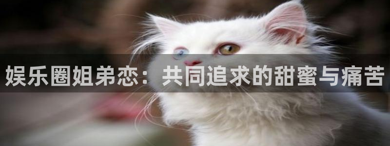 星欧娱乐4官网：娱乐圈姐弟恋：共同追求的甜蜜与痛苦