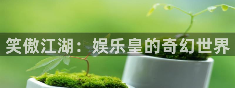星欧娱乐游戏有哪些好玩的：笑傲江湖：娱乐皇的奇幻世界