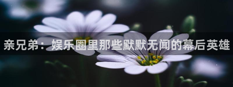 星欧娱乐网页版登：亲兄弟：娱乐圈里那些默默无闻的幕后英雄
