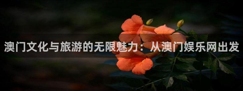 电子游戏星欧娱乐：澳门文化与旅游的无限魅力：从澳门娱乐网出发