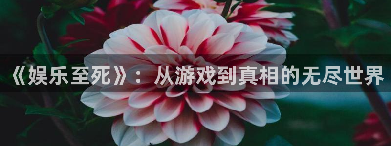 星欧娱乐体育注册平台：《娱乐至死》：从游戏到真相的无尽世界