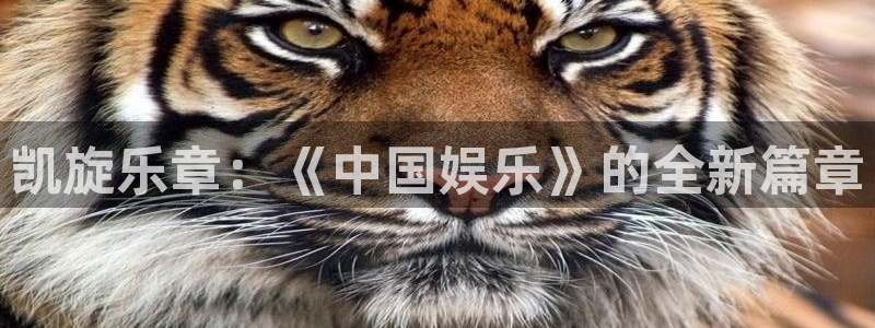 星欧娱乐2登录地址：凯旋乐章：《中国娱乐》的全新篇章
