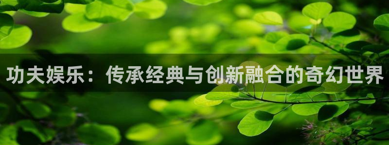 星欧娱乐官网：功夫娱乐：传承经典与创新融合的奇幻世界
