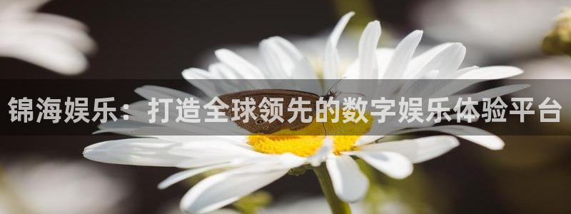 星欧娱乐2登录地址：锦海娱乐：打造全球领先的数字娱乐体验平台