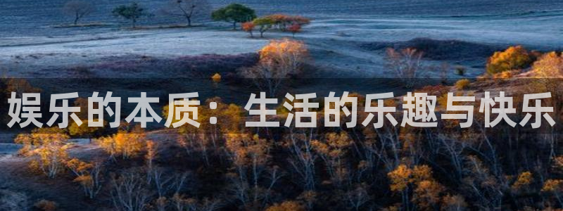 星欧娱乐体育4：娱乐的本质：生活的乐趣与快乐