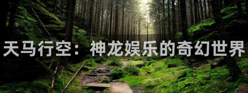 星欧娱乐3登录：天马行空：神龙娱乐的奇幻世界