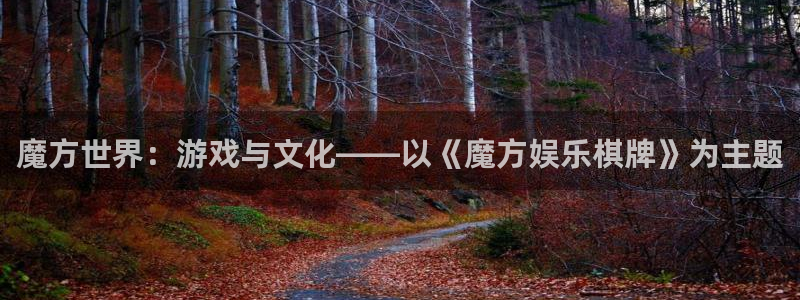 星欧娱乐加拿大：魔方世界：游戏与文化——以《魔方娱乐棋牌》为主题