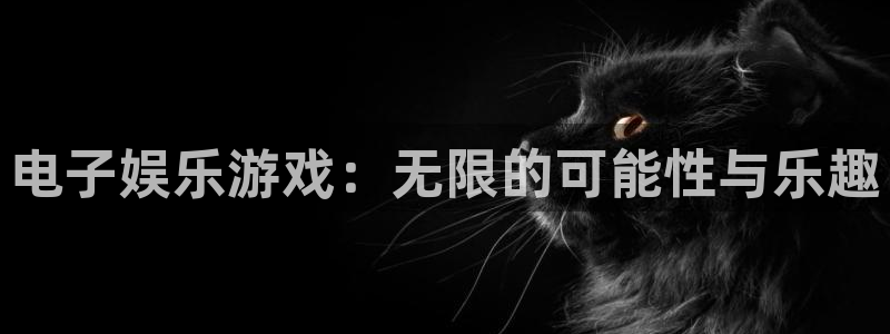 星欧娱乐平台官方入口下载：电子娱乐游戏：无限的可能性与乐趣
