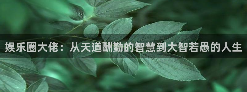 星欧娱乐集团：娱乐圈大佬：从天道酬勤的智慧到大智若愚的人生