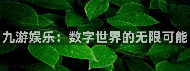 星欧娱乐怎么下载：九游娱乐：数字世界的无限可能
