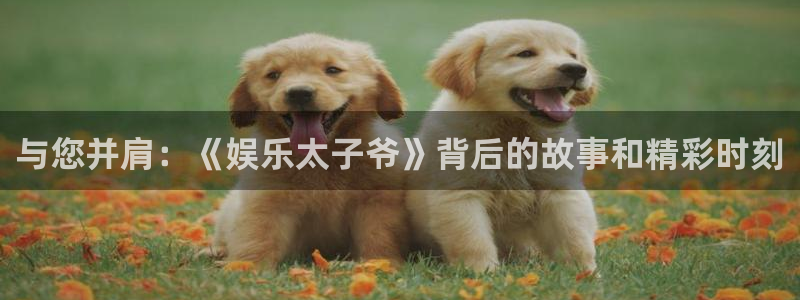 佛山市南海星欧娱乐机电仪器有限公司：与您并肩：《娱乐太子爷》背后的故事和精彩时刻