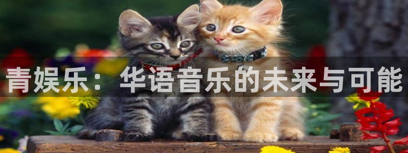 星欧娱乐登录：青娱乐：华语音乐的未来与可能