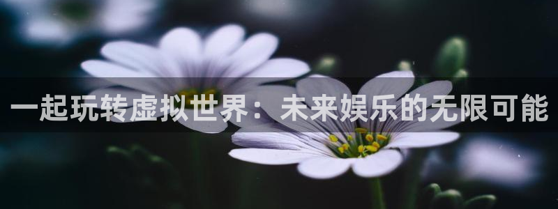 星欧娱乐招商：一起玩转虚拟世界：未来娱乐的无限可能